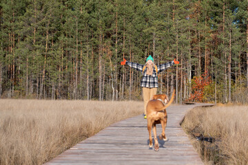 Obraz na płótnie Canvas Woman spreading arms to hug her dog walking on ecological trail in nature autumn park with pine trees. Happy female rejoicing spending time with pet friend on weekend. Tourism with dog, wanderlust.