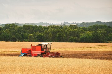 Harvesting wheat. Combine harvester at work. Agricultural industrial scene in a farmland.