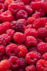 Wild Raspberries foraged in Scandinavia  