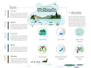 Infographic of the types and benefits of wetlands.
In the center landscape of a wetland with water lily leaves, flora and fauna.