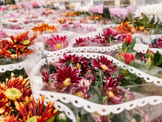 Blooming chrysanthemum flowers in pots on the store counter. Gifts for Valentine's Day, International Women's Day, Mother's Day