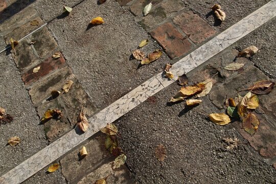 Marciapiede di autunno con foglie gialle e taglio in diagonale