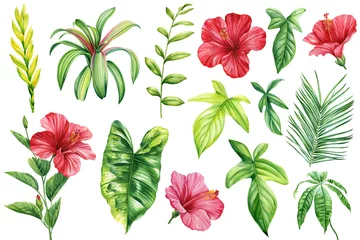 Fotobehang Tropische planten Tropical watercolor flowers and leaves. Set with exotic plants isolated on white background