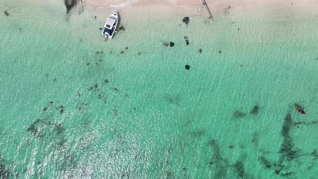 hamelin bay sting rays beach boats australia 4k