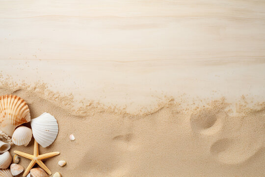 Top view of a sandy beach with various seashells and starfish on one side, copy space. Vacation, holiday background. Empty space for text, advertising. Travel, relax.