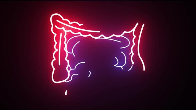 Red neon anatomy of the human digestive system. Anatomy of the human digestive system, concept of the intestine. Neon Human Intestine motion