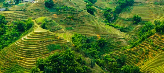 Fotobehang Panormam of the Rice field terraces in Sapa, Vietnam © calcassa