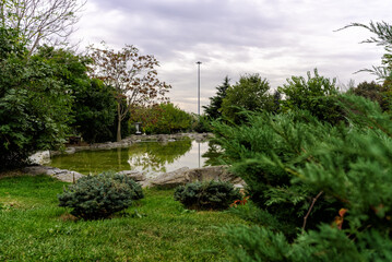 Lush green woodland park with reflection in the tranquil pond in the sunlight