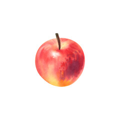 Red orange apple on a white background. Watercolor illustration. Healthy and baby food. juicy, ripe fruit. Template for postcards, stickers, icons.