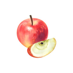 Red orange apple on a white background. Watercolor illustration. Healthy and baby food. juicy, ripe fruit. Template for postcards, stickers, icons.