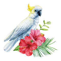 White cockatoo parrot. Tropical watercolor bird, flowers and leaves isolated on white background © Hanna