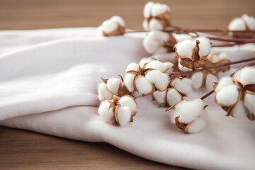 Fototapeta na wymiar Organic cotton for eco-friendly textile production, aesthetic look