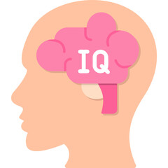 Iq Icon