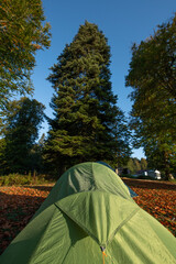Tent camp in &Ccedil;ardaklı Plateau. Tent camping in the forest. Tent camping in the trees.Water drops on a waterproof fabric.  Water droplets on tent fabric. &Ccedil;ardaklı Plateau. Sakarya T&uuml;rkiye.