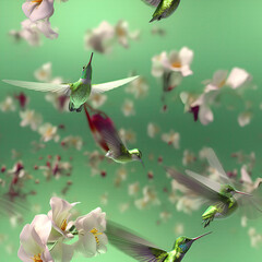 hummingbird, blossom in spring
