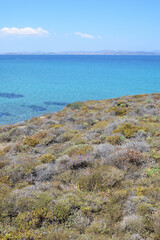 Zamatas beach, Lemnos island, Greece, Aegean Sea