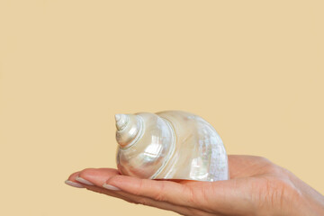 a close-up of a woman's hand holding a large beautiful mother-of-pearl spiral seashell. Isolated on a beige background. Copy space