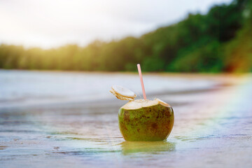 Juicy coconut stands in the waves of the warm sea, cheerful coconut on vacation, a paradise beach and exotic fruits.