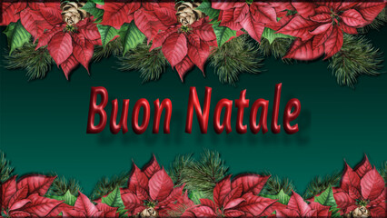 Merry Christmas - Christmas greeting card with poinsettia flowers and pine branches in the borders. written Buon Natale in Italian. 3D relief effect- vector design for festive holidays - obrazy, fototapety, plakaty