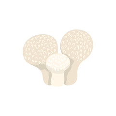 Puffball mushrooms. Fungus with a ball-shaped body. Vector cartoon illustration with texture isolated on the white background.
