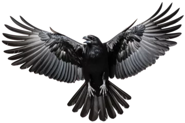 Zelfklevend Fotobehang A crow flying on transparent background, PNG file © Sasint
