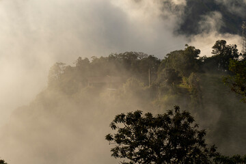 Brume au dessus de la forêt tropicale