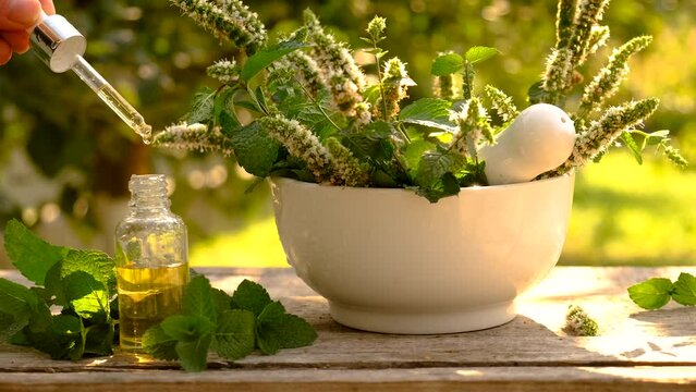 Peppermint essential oil in a bottle. Selective focus.