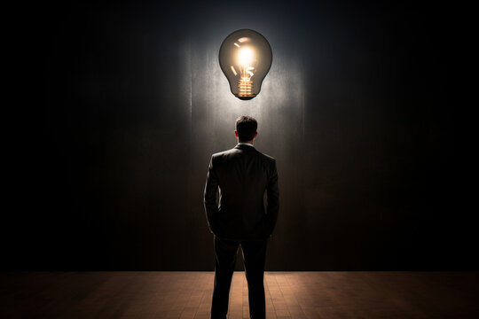 Rear view of businessman and light bulb, dark light photography