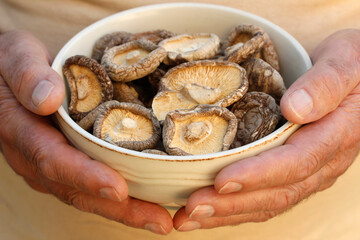 Shiitake mushrooms.