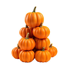 Fototapeta premium Pumpkin whole fruits transparent background