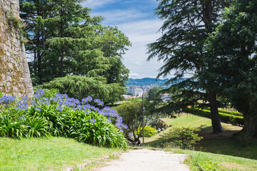 Park Monte del Castro, park located on a hill in Vigo, the biggest city in Galicia Region, in the North of Spain. Trees, paths, selective focus