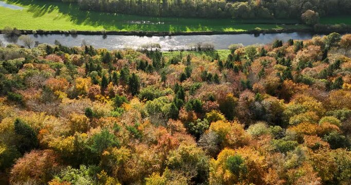 Scenic autumn landscape with a river and colourful autumn forest 4k