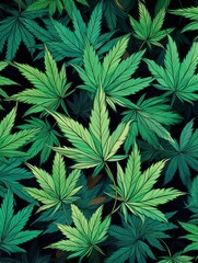 Cannabis leaves background pattern texture