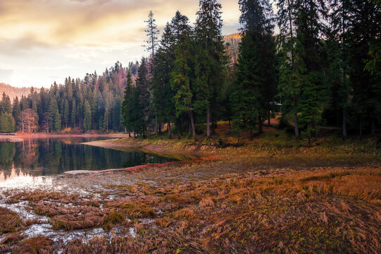 mountainous landscape with lake at sunset. beautiful nature background in evening light. forest reflecting in the water