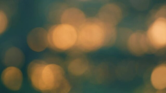 Environment Backdrop. Foliage Moving On A Gentle Breeze. Defocused Foliage And Branches Of Trees. Blur.