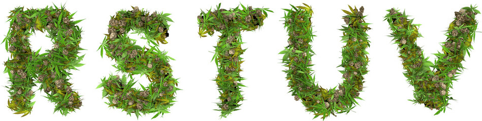 weed and buds font letters 3d render r s t u v - obrazy, fototapety, plakaty