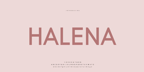 Elegant Font Uppercase Lowercase and Number. Classic Lettering Minimal Fashion Designs. Typography modern san Sanserif fonts regular decorative vintage concept. vector illustration