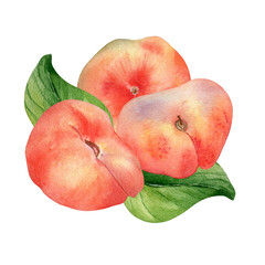 Chines fig peaches and leaves watercolor illustration isolated on white. Whole ripe fruits painting. Flat peach hand drawn. Design element for package, label, kitchen, skin care cosmetic, juice
