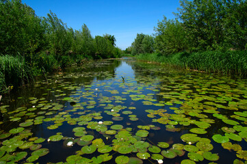 Landscape of a lake and blue sky