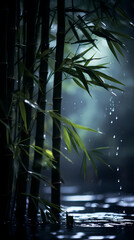 bamboo over lake at night