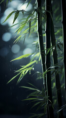 bamboo over lake at night