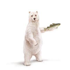 illustration d'un ours polaire avec une écharpe qui tiens un poisson           dans la main - obrazy, fototapety, plakaty