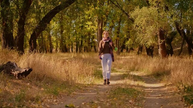 tourist in the park, tourist girl with a backpack walks through the forest park under the sunlight, travel tourism concepts, tourist walk through the forest, women's feminism concept