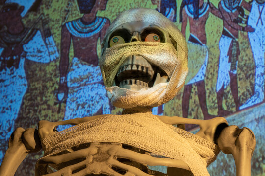 Egyptian mummy awakens. The curse of the pharaohs or the mummy's curse for thieves and archaeologists, is claimed to cause bad luck, illness, or death. It's also a Symbol of horror and Halloween.   