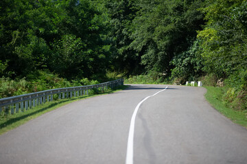Paved road with a dividing strip along the green bushes.