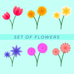 set of cute flowers with branches