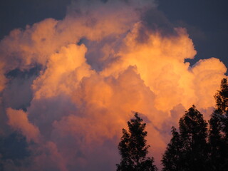 夕焼け空と大きな木