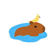 Capybara with bird funny character in flat design. Cute capybara swimming in water vector illustration