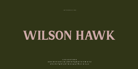 Elegant Font Uppercase Lowercase and Number. Classic Lettering Minimal Fashion Designs. Typography modern Serif fonts regular decorative vintage concept. vector illustration