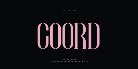 Elegant Font Uppercase Lowercase and Number. Classic Lettering Minimal Fashion Designs. Typography modern Serif fonts regular decorative vintage concept. vector illustration